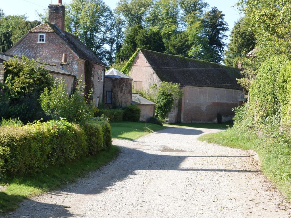 Home Farm House Wimborne Saint Giles Exterior photo