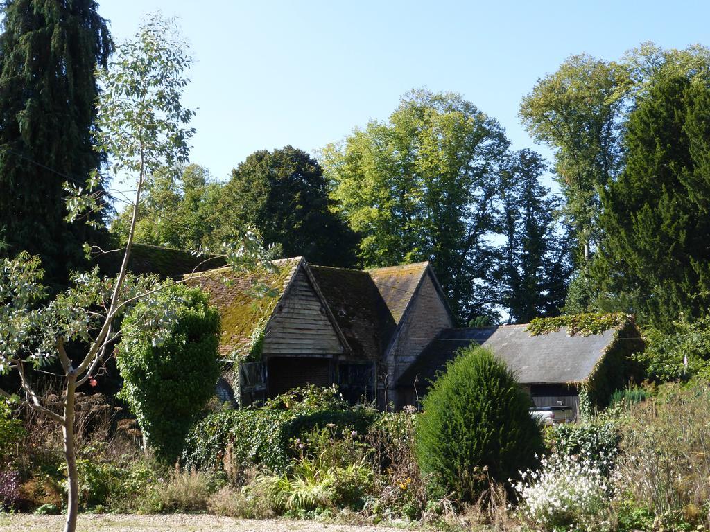 Home Farm House Wimborne Saint Giles Exterior photo